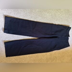 Aritzia wilfred free modern utility pant